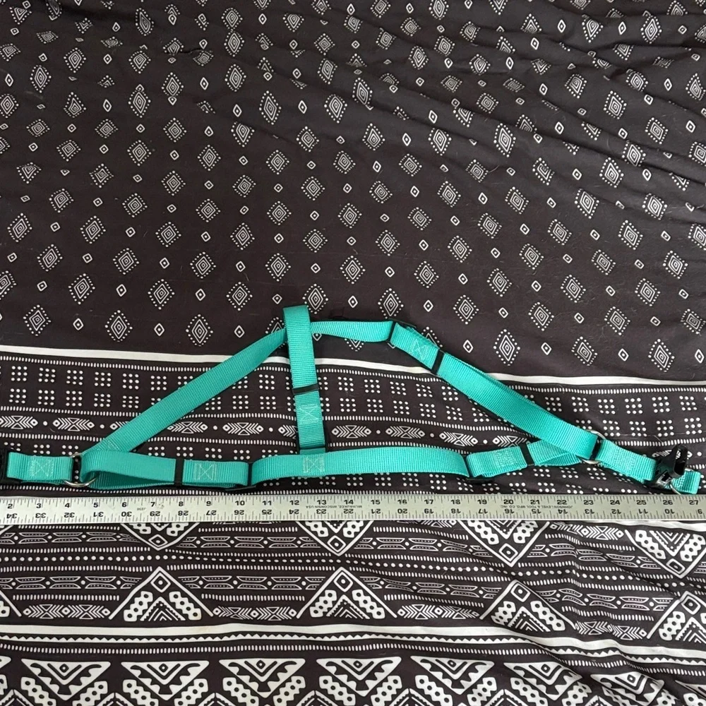 Teal No Pull Dog Harness